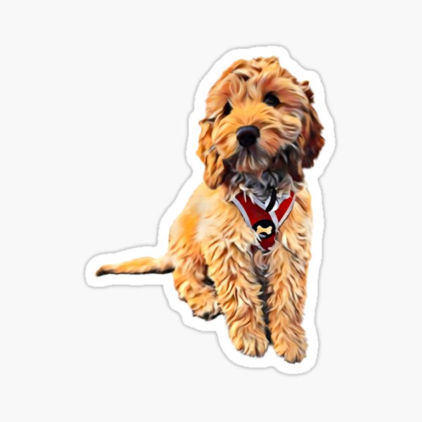 Cute Golden Doodle art Sticker