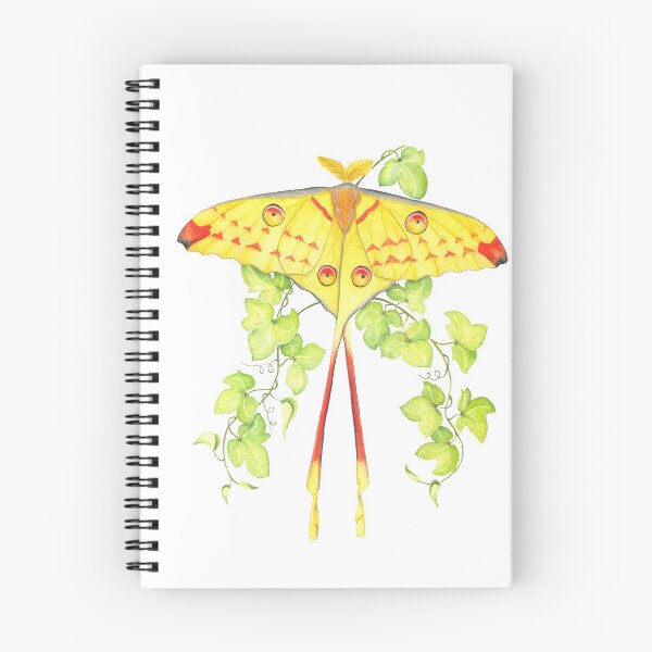 Item preview, Comet moth, Madagascar moon moth  designed and sold by ColorSplendor.