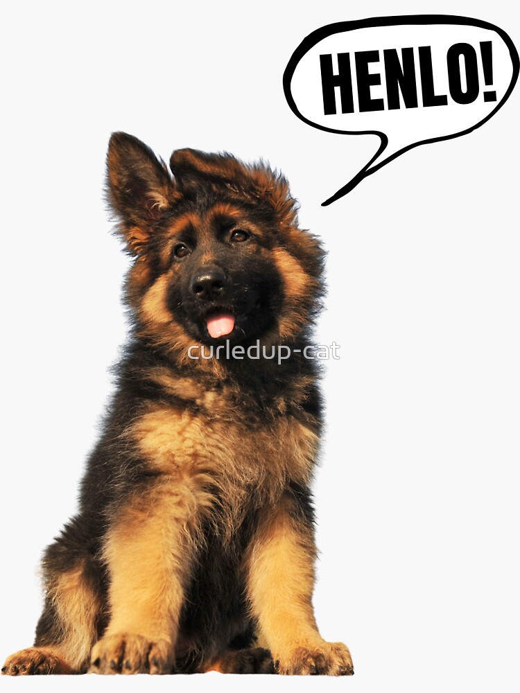 German Shepherd Kings Dog Spa Lesh's Dog Grooming Long Haired