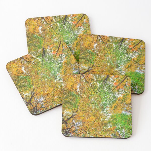 Item preview, Colourful Autumn Forest Trees designed and sold by SarahJisri.
