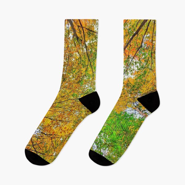 Item preview, Colourful Autumn Forest Trees designed and sold by SarahJisri.