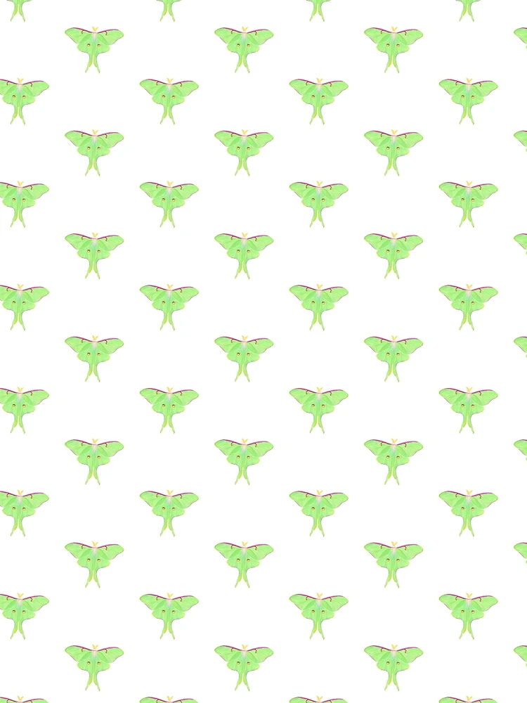 Thumbnail 3 of 3, Scarf, Luna moth designed and sold by ColorSplendor.