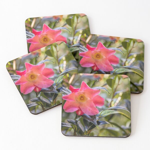 Item preview, Pink camellia flower, with branches and leaves in the background. designed and sold by AylaHarbich.