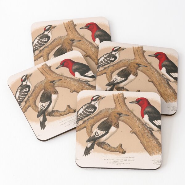 Item preview, Woodpeckers 1874 restored lithograph designed and sold by aapshop.