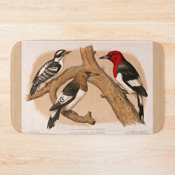 Item preview, Woodpeckers 1874 restored lithograph designed and sold by aapshop.