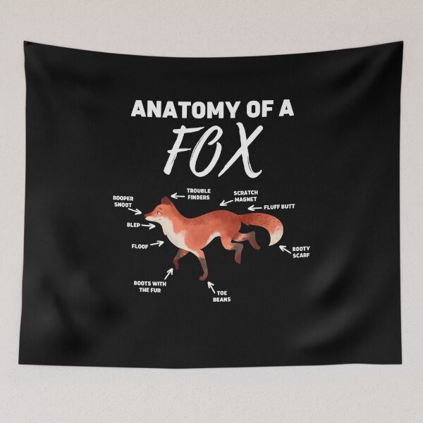 Item preview, Anatomy Of A Fox - Cool And Funny Gift For Fox Lovers designed and sold by anassrida.