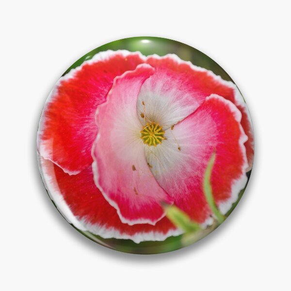 Artikelvorschau, Decorative Poppy entworfen und verkauft von Orla Cahill Photography.