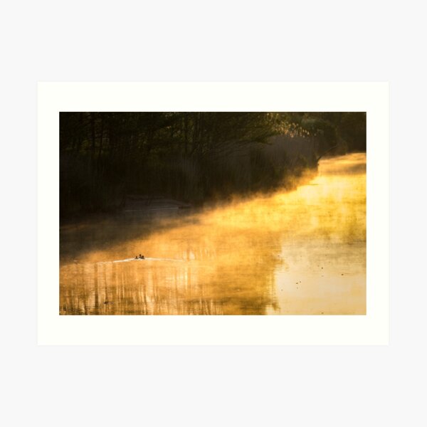 Early Morning Mist Art Print