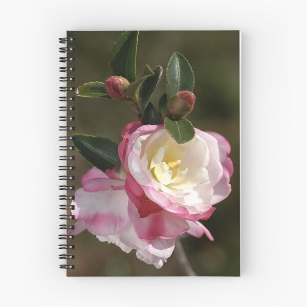 Item preview, Camellias in May designed and sold by Joy Watson - Natural Light Photography .