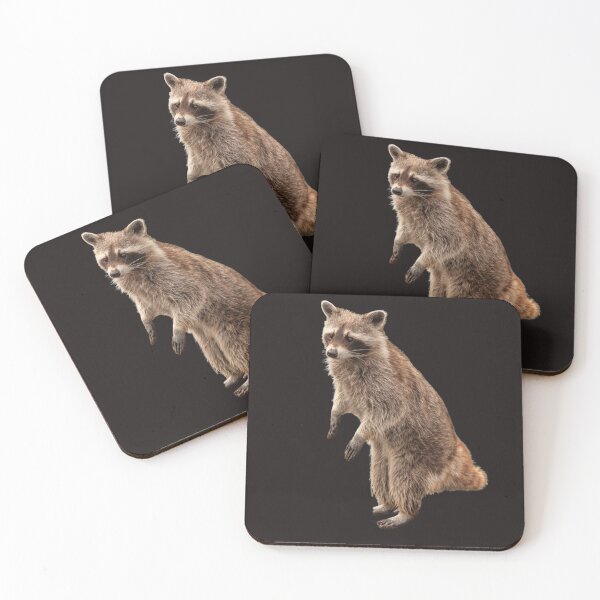 Item preview, Standing racoon  designed and sold by Spuffy Dan.