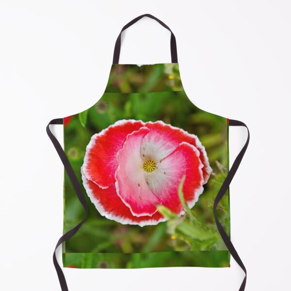 Artikelvorschau, Decorative Poppy entworfen und verkauft von Orla Cahill Photography.