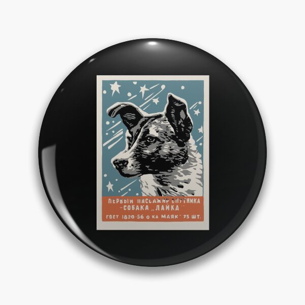 Item preview, CCCP USSR Interkosmos designed and sold by dinosareforever.