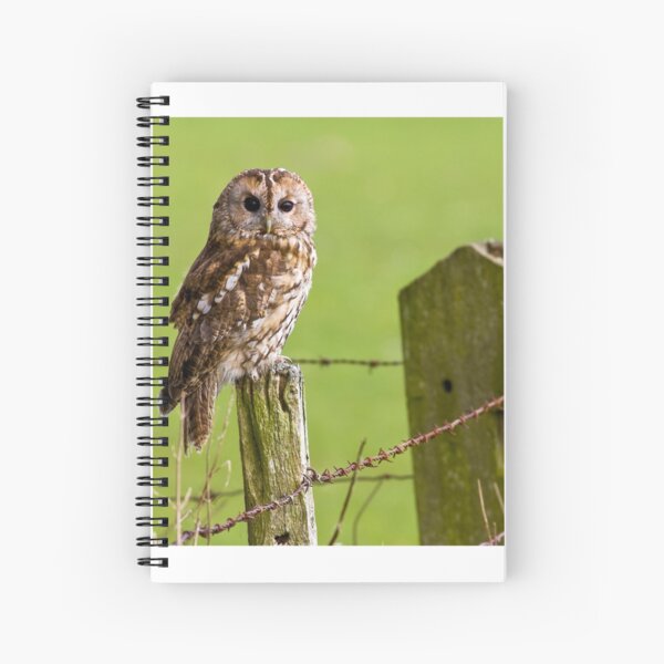 Tawny Owl on fencepost Spiral Notebook