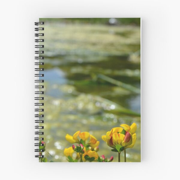 Aperçu de l'œuvre Lotus-lotier corniculé au bord de la piscine créée et vendue par Tinyevilpixie1.
