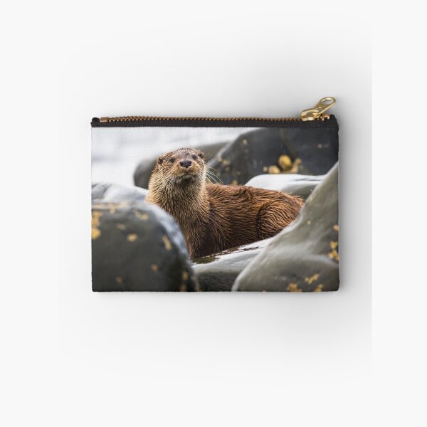 Item preview, Arran Otter designed and sold by Steve Miller.