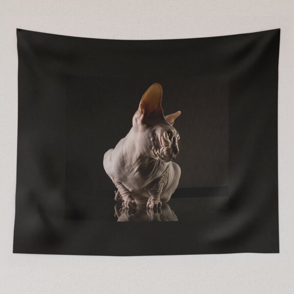 Item preview, sophisticated kittehz designed and sold by Dobby-Lobo.