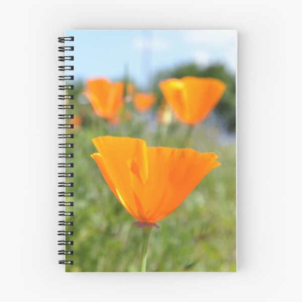 Item preview, La California Poppy Eschscholzia californica designed and sold by Tinyevilpixie1.