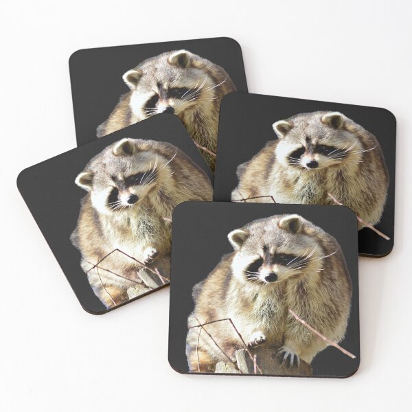 Item preview, Chunky trash panda designed and sold by Spuffy Dan.