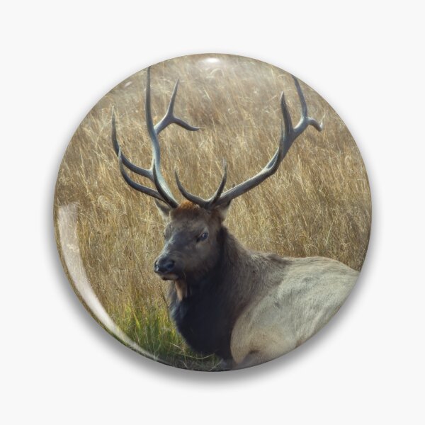 Item preview, No Nonsense designed and sold by Karen Peron.