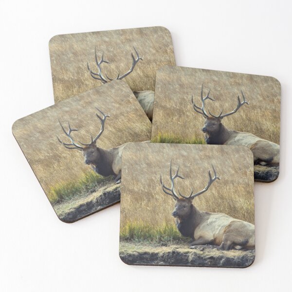 Item preview, No Nonsense designed and sold by Karen Peron.