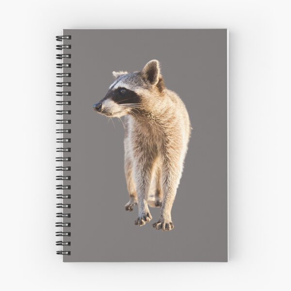 Item preview, Raccoon  designed and sold by Spuffy Dan.