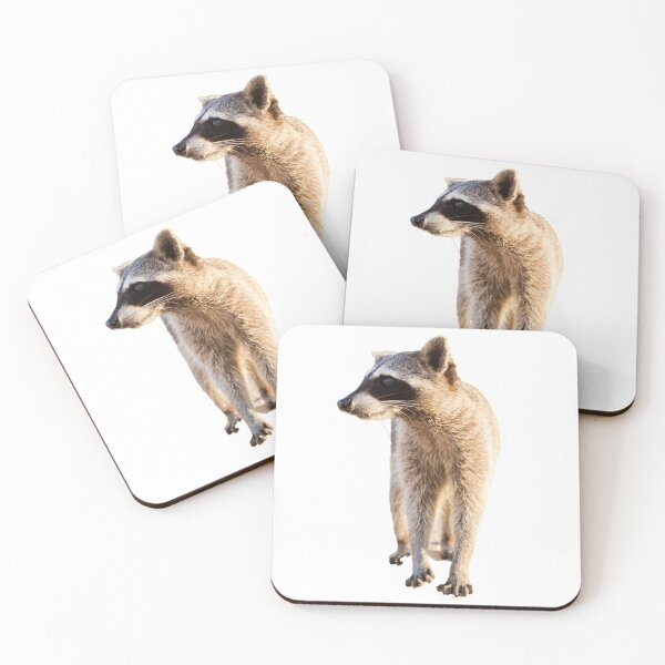 Item preview, Raccoon  designed and sold by Spuffy Dan.