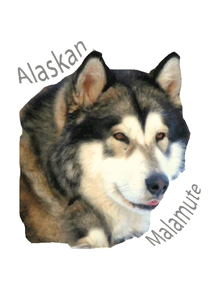 Mini best sale malamute dog