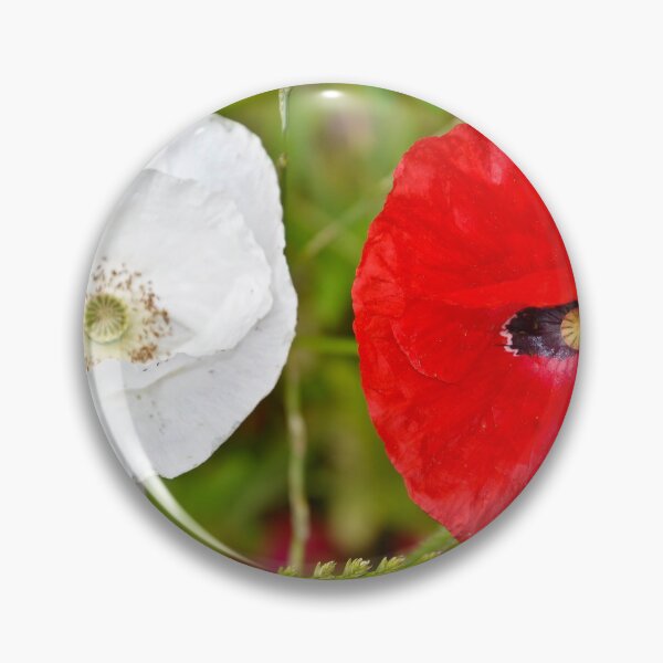 Item preview, Poppies designed and sold by Orla Cahill Photography.