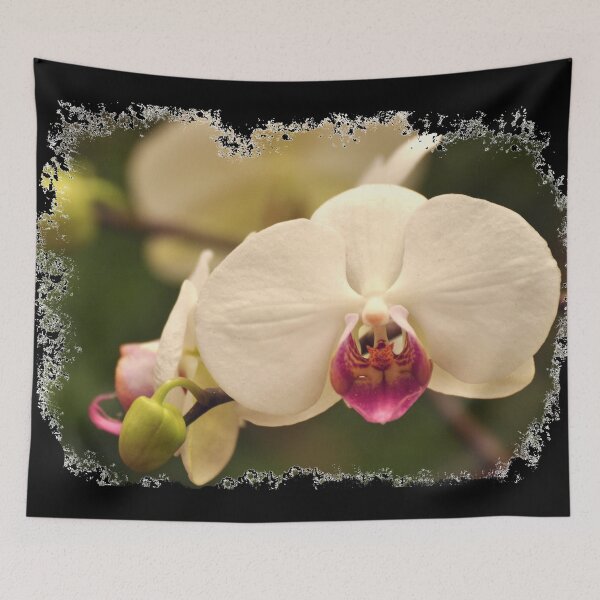Item preview, Pink and white orchid blooming, Power and beauty of nature, Torn Edges Version designed and sold by GoodVibesOcean.