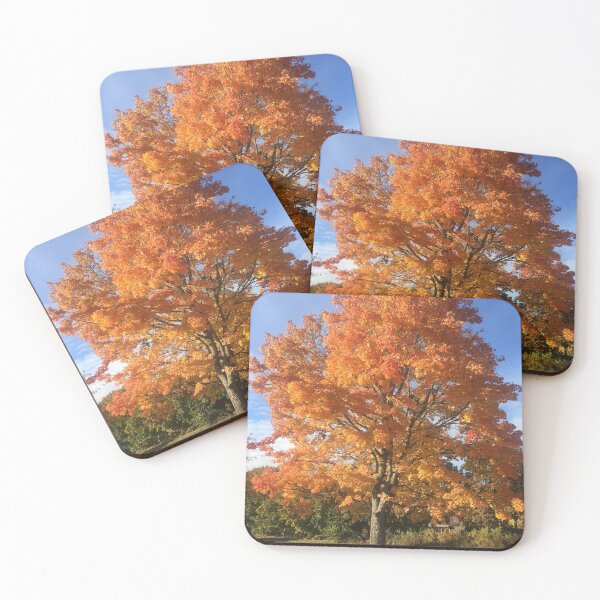 Item preview, Autumn in Sweden I designed and sold by jseagull91.