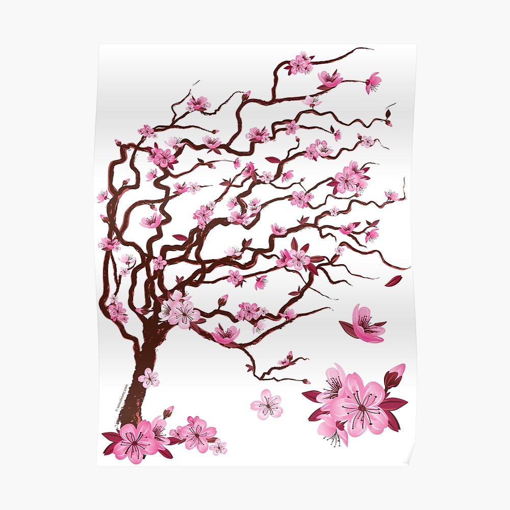 Japanese cherry tree | Árbol del cerezo japonés