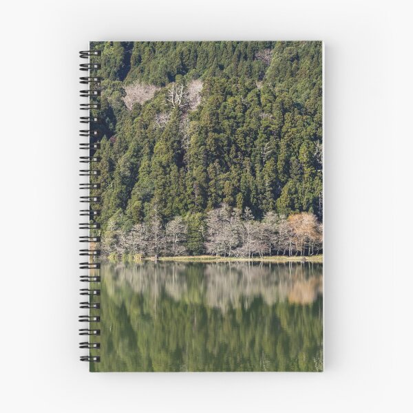 Item preview, Reflection of trees in water, green landscape. designed and sold by AylaHarbich.