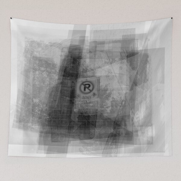 Item preview, No Parking Sign Overlay designed and sold by Steven Socha.