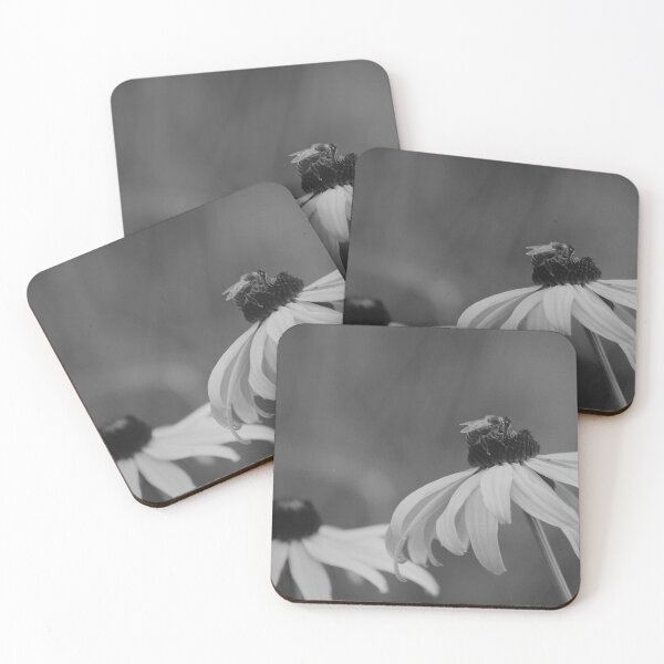 Item preview, Blackeyed Susan flowers and bee - Black and white nature photography designed and sold by CarolinaReina.
