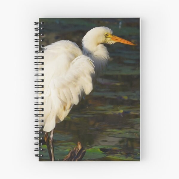 Item preview, Egret fluffed up designed and sold by BirdartPro.