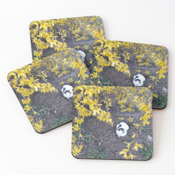 Item preview, Naughty tomcat Bolik is chilling. Spring. designed and sold by UnsereWelt.