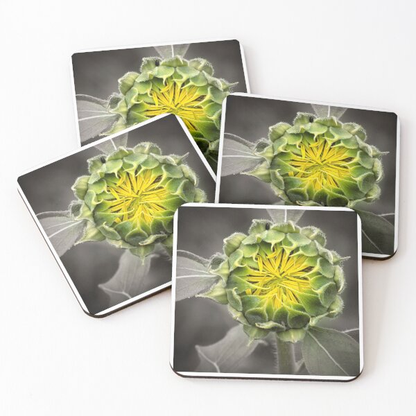 Item preview, Beginnings designed and sold by Susan Watson.