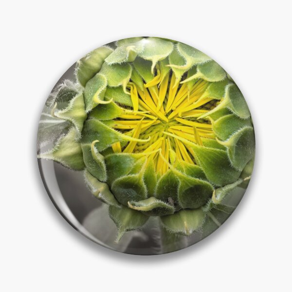 Item preview, Beginnings designed and sold by Susan Watson.