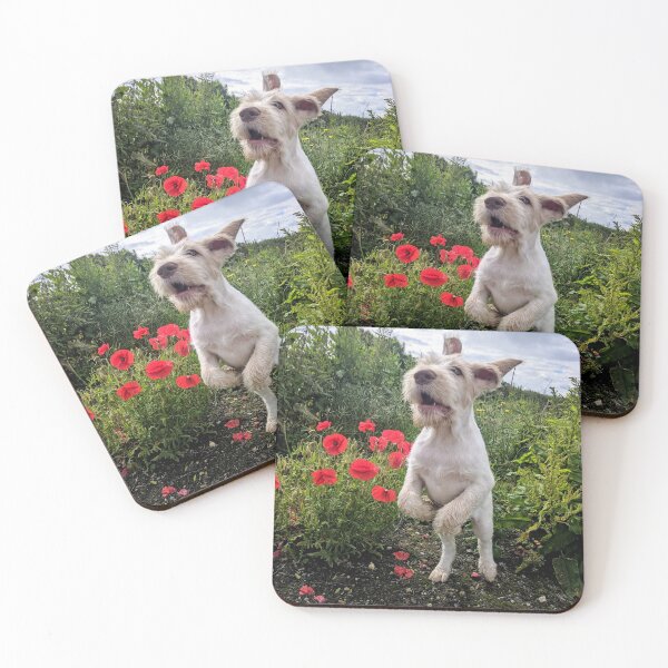 Item preview, Leaping Spinone puppy with poppies by heidiannemorris © designed and sold by FOLK ART FUSION by heidiannemorris.