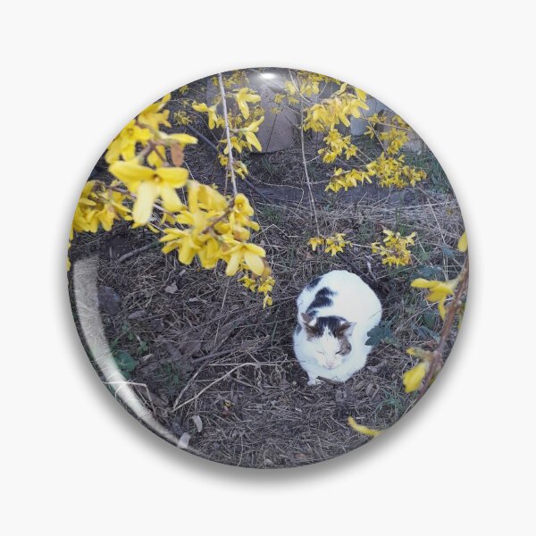 Item preview, Naughty tomcat Bolik is chilling. Spring. designed and sold by UnsereWelt.