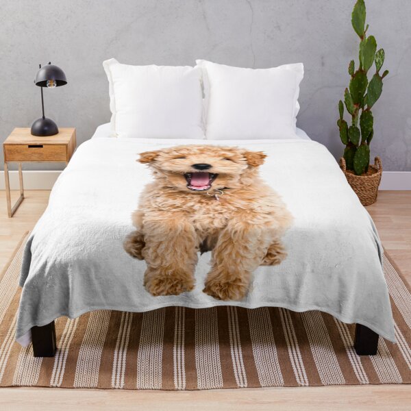 Item preview, Poodle Puppy Dog Photo designed and sold by WearItOwnIt.