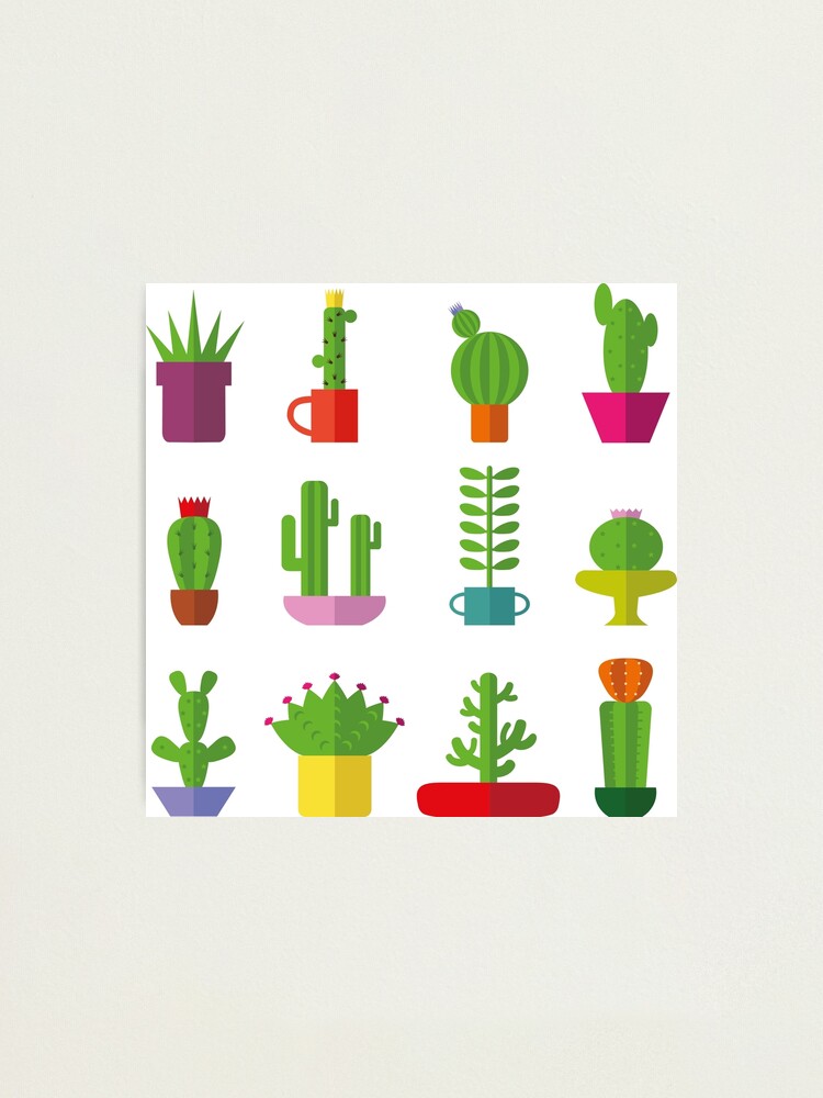 Alternate view of Funny Cactus Photographic Print