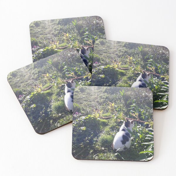 Item preview, The cat chases Bolek. designed and sold by UnsereWelt.