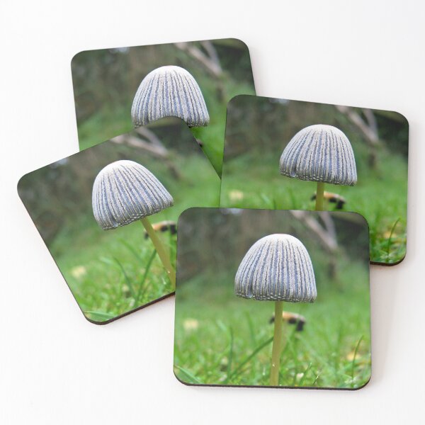 Item preview, Little Mushroom designed and sold by Orla Cahill Photography.