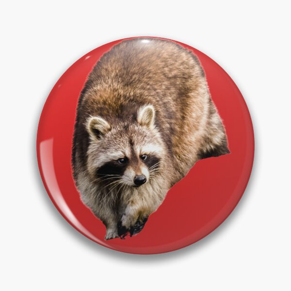 Item preview, Sneaky racoon  designed and sold by Spuffy Dan.