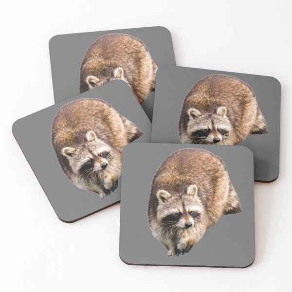 Item preview, Sneaky racoon  designed and sold by Spuffy Dan.