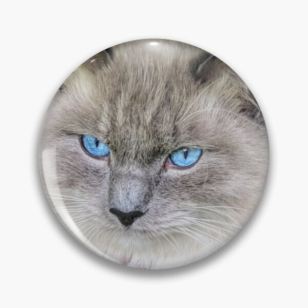 Item preview, Ragdoll cat designed and sold by Fluffycat2020.