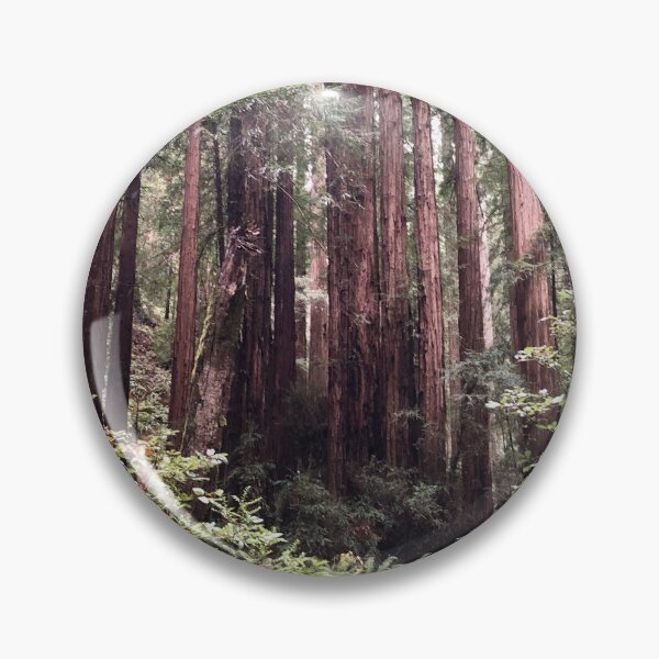 Item preview, Redwoods designed and sold by jcooper10.