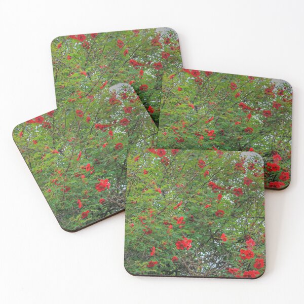 Item preview, A Splash of Red designed and sold by tomg.
