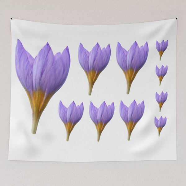 Item preview, Crocus rujanensis designed and sold by Chris Burrows.